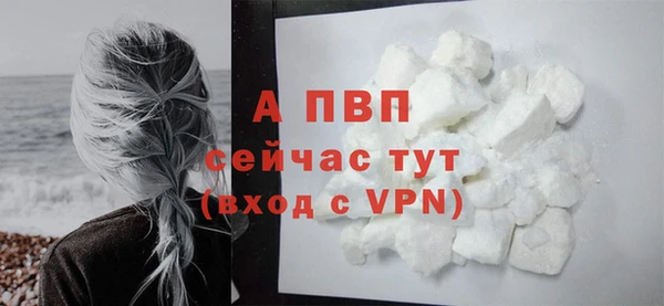 молекула духа Кострома