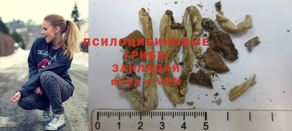 Альфа ПВП Нея