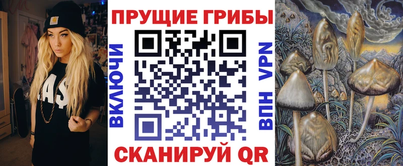 Купить закладки  Калязин  Псилоцибиновые грибы ЛСД 